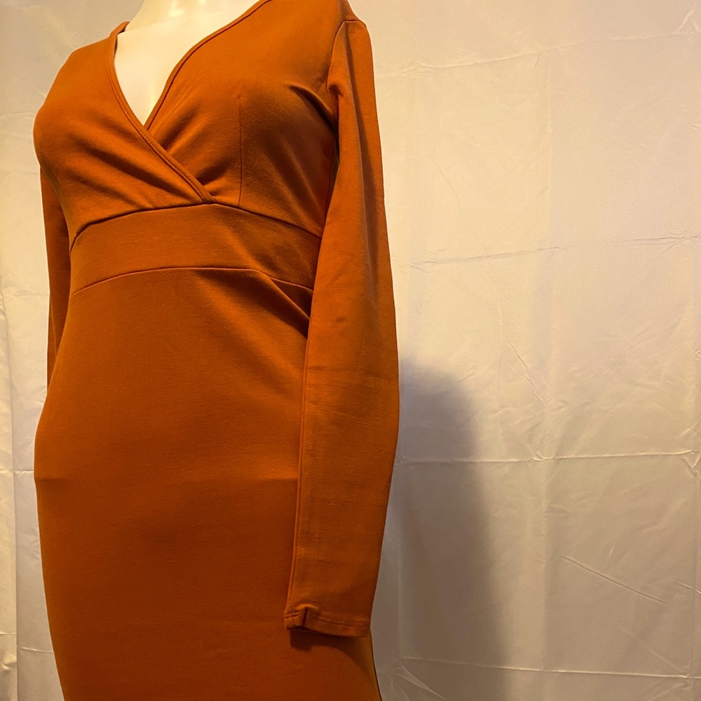 Burnt Orange Long sleeve Dress